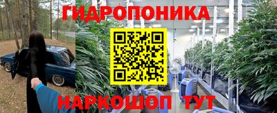 стафф Пугачёв
