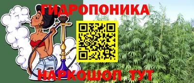 apvp Пушкино