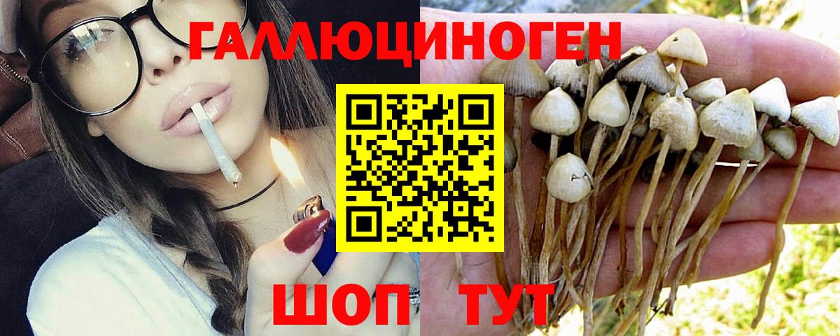Галлюциногенные грибы ЛСД  Псилоцибиновые грибы Magic Shrooms  Вход с VPN  Ачинск 
