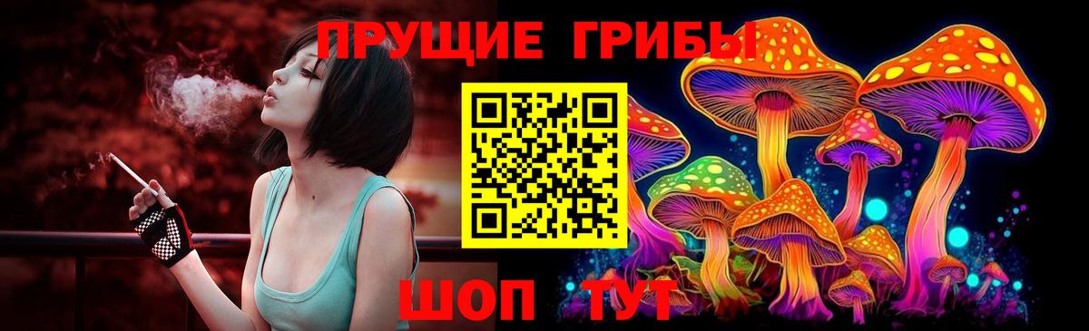Галлюциногенные грибы Cubensis Ачинск